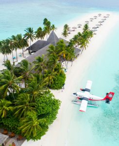 Employee trip to an island on the company dime